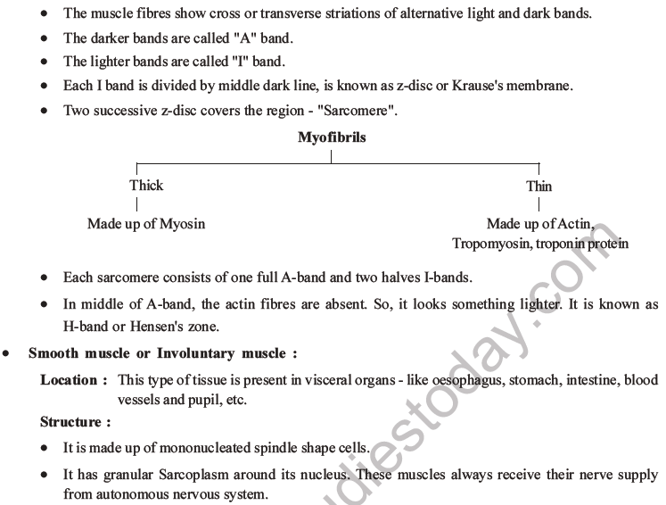 NEET Biology Animal Tissues MCQs Set A, Multiple Choice Questions